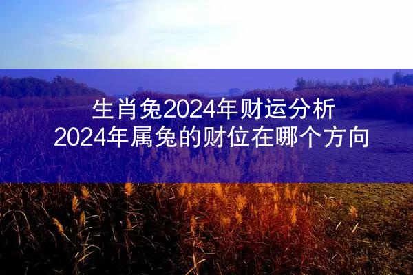 生肖兔2024年财运分析 2024年属兔的财位在哪个方向