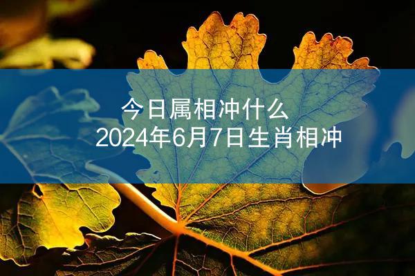 今日属相冲什么 2024年6月7日生肖相冲