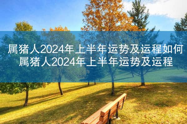 属猪人2024年上半年运势及运程如何 属猪人2024年上半年运势及运程