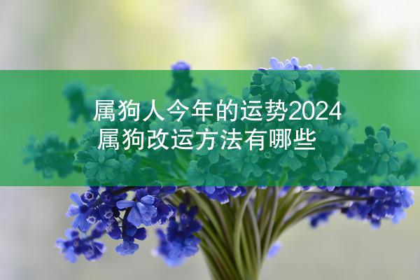 属狗人今年的运势2024 属狗改运方法有哪些