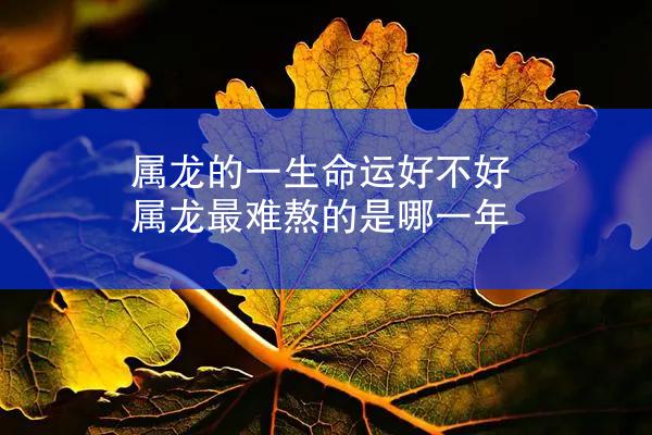 属龙的一生命运好不好 属龙最难熬的是哪一年