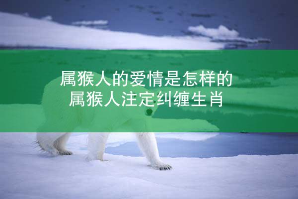 属猴人的爱情是怎样的 属猴人注定纠缠生肖