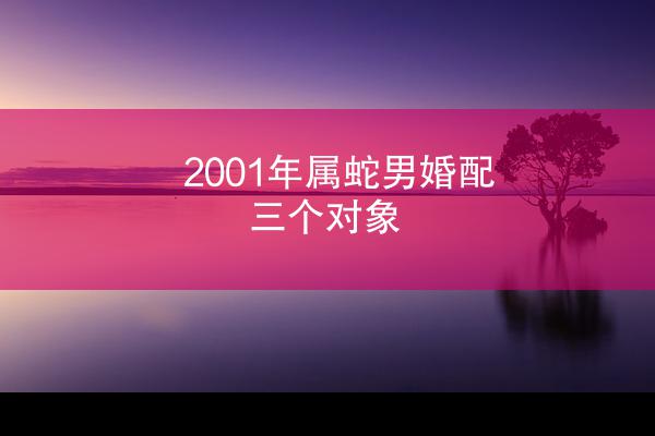 2001年属蛇男婚配三个对象