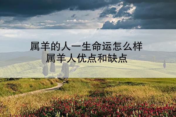属羊的人一生命运怎么样 属羊人优点和缺点
