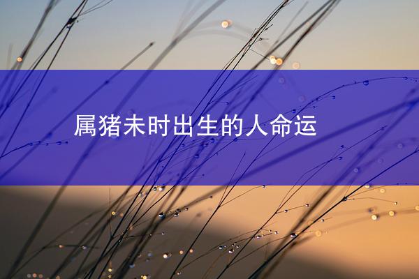 属猪未时出生的人命运