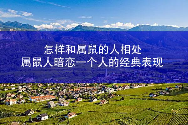 怎样和属鼠的人相处 属鼠人暗恋一个人的经典表现