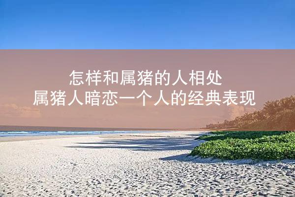 怎样和属猪的人相处 属猪人暗恋一个人的经典表现