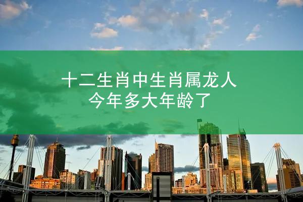 十二生肖中生肖属龙人今年多大年龄了
