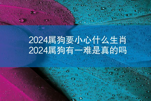 2024属狗要小心什么生肖 2024属狗有一难是真的吗