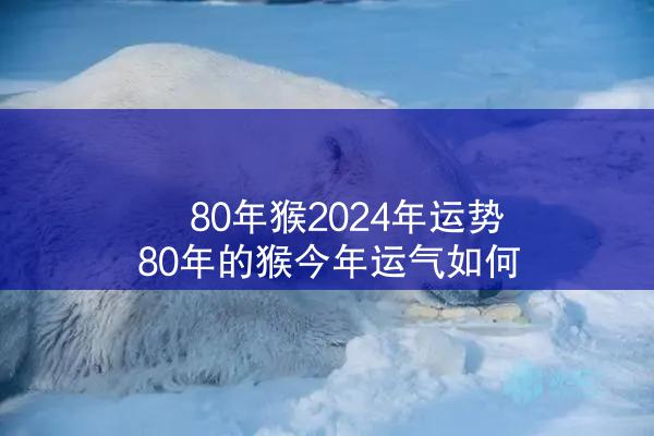  80年猴2024年运势 80年的猴今年运气如何
