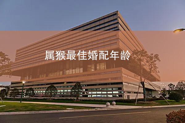 属猴最佳婚配年龄
