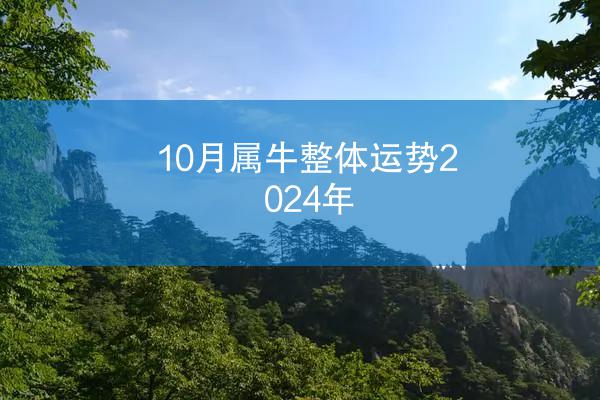 10月属牛整体运势2024年