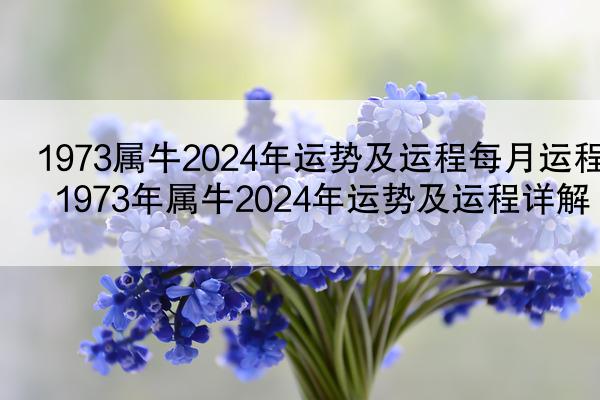 1973属牛2024年运势及运程每月运程 1973年属牛2024年运势及运程详解