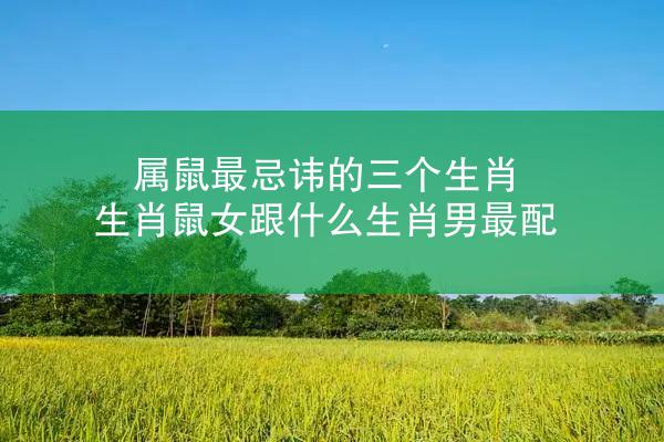 属鼠最忌讳的三个生肖 生肖鼠女跟什么生肖男最配