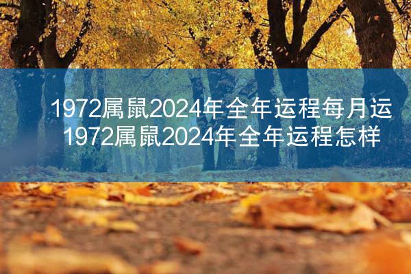 1972属鼠2024年全年运程每月运 1972属鼠2024年全年运程怎样