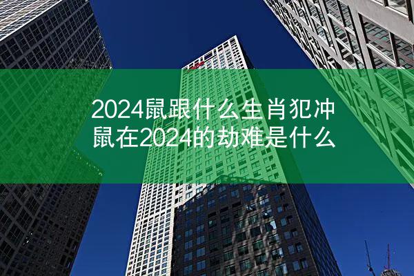 2024鼠跟什么生肖犯冲 鼠在2024的劫难是什么