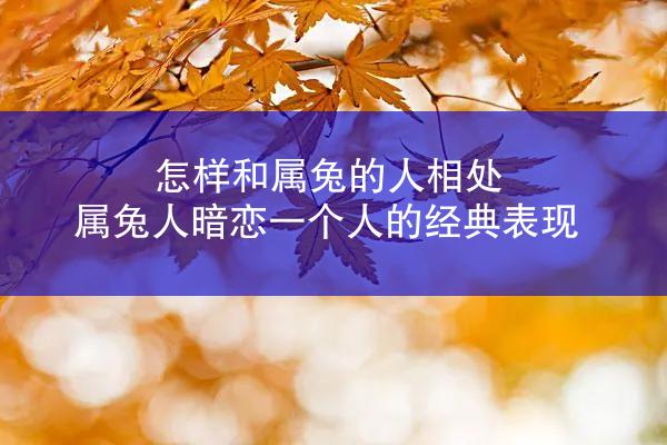 怎样和属兔的人相处 属兔人暗恋一个人的经典表现