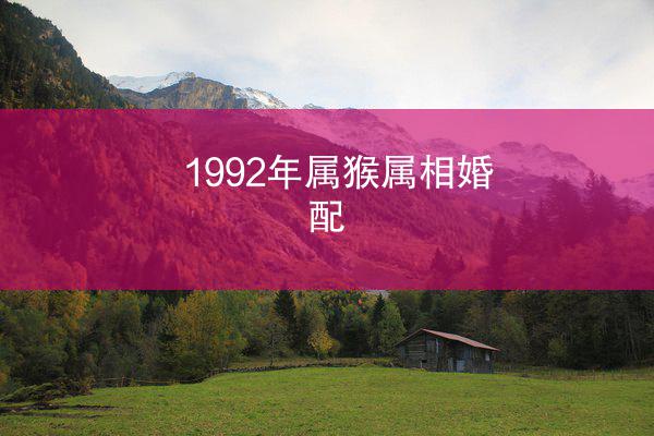 1992年属猴属相婚配