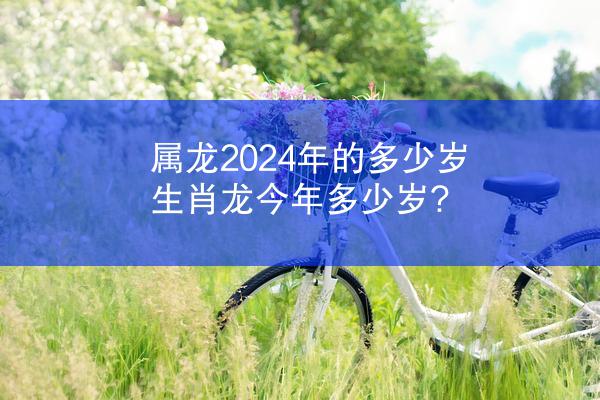 属龙2024年的多少岁 生肖龙今年多少岁?