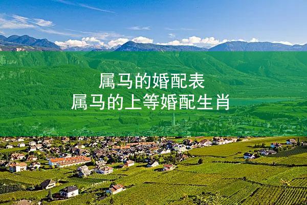 属马的婚配表 属马的上等婚配生肖