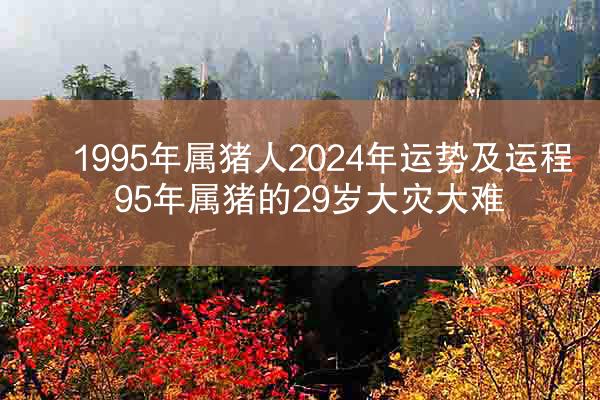 1995年属猪人2024年运势及运程 95年属猪的29岁大灾大难