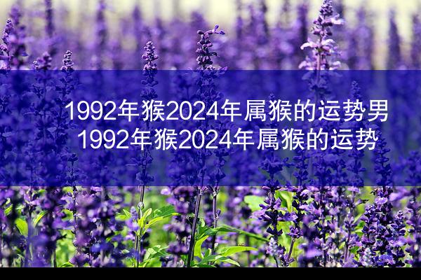 1992年猴2024年属猴的运势男 1992年猴2024年属猴的运势