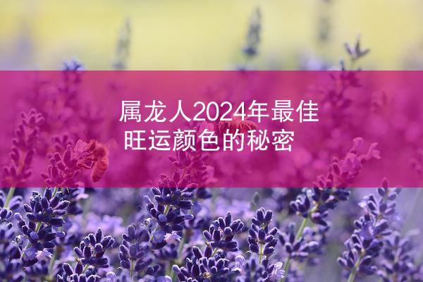 属龙人2024年最佳旺运颜色的秘密