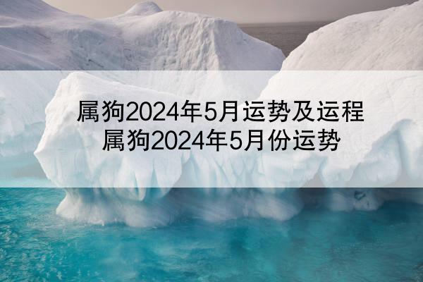 属狗2024年5月运势及运程 属狗2024年5月份运势