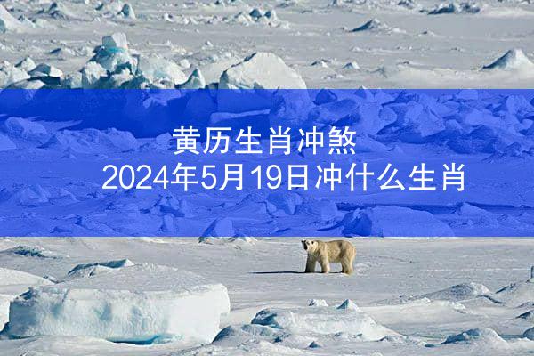 黄历生肖冲煞 2024年5月19日冲什么生肖