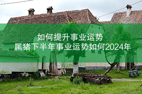 如何提升事业运势 属猪下半年事业运势如何2024年