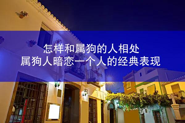 怎样和属狗的人相处 属狗人暗恋一个人的经典表现