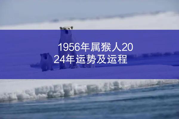 1956年属猴人2024年运势及运程