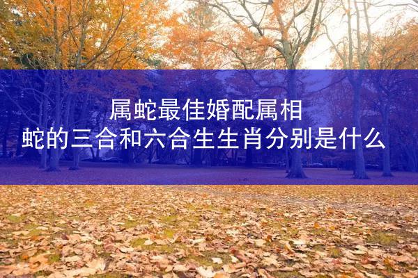 属蛇最佳婚配属相 蛇的三合和六合生生肖分别是什么