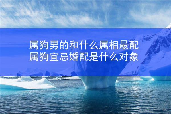 属狗男的和什么属相最配 属狗宜忌婚配是什么对象