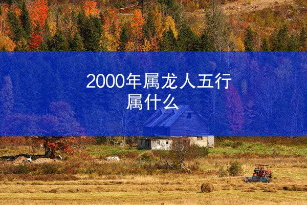 2000年属龙人五行属什么