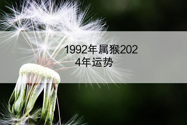 1992年属猴2024年运势