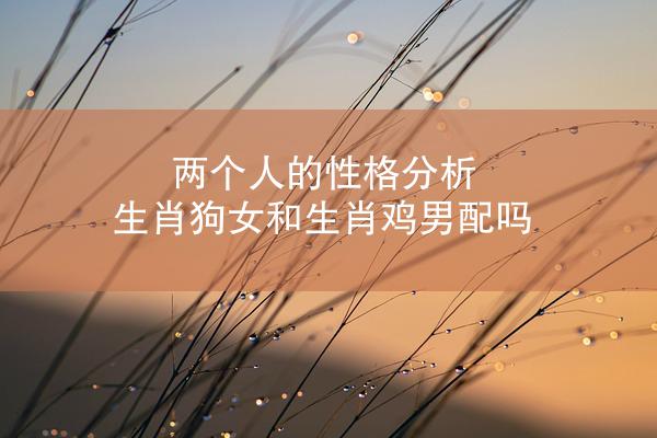 两个人的性格分析 生肖狗女和生肖鸡男配吗