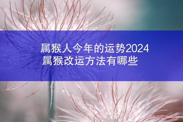 属猴人今年的运势2024 属猴改运方法有哪些