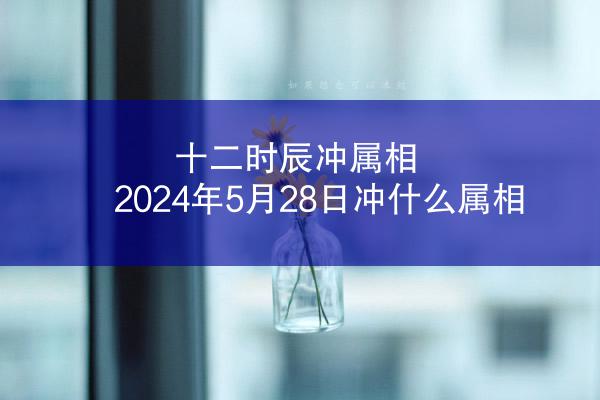 十二时辰冲属相 2024年5月28日冲什么属相