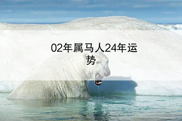 02年属马人24年运势