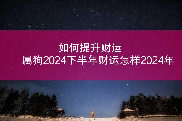 如何提升财运 属狗2024下半年财运怎样2024年
