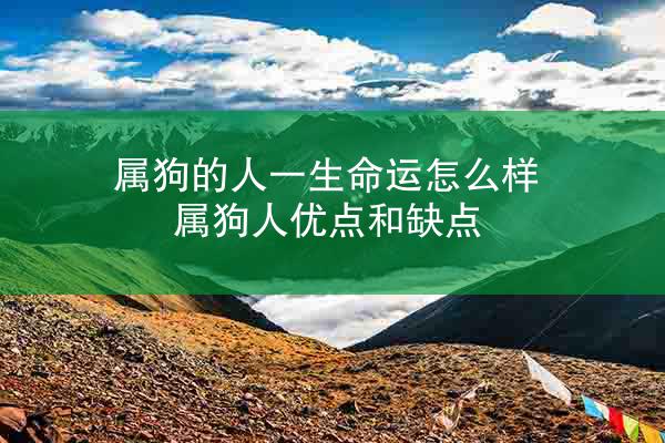 属狗的人一生命运怎么样 属狗人优点和缺点