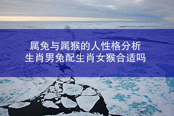 属兔与属猴的人性格分析 生肖男兔配生肖女猴合适吗