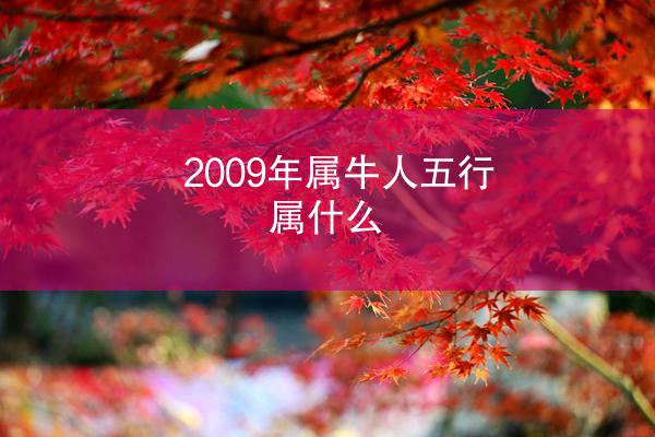 2009年属牛人五行属什么