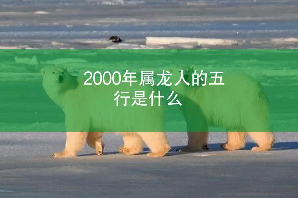 2000年属龙人的五行是什么