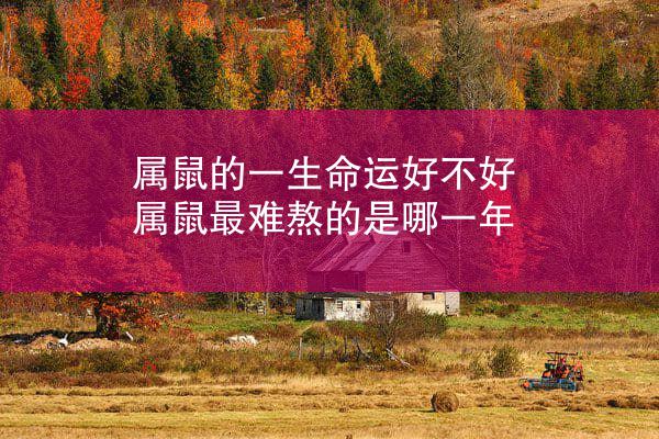 属鼠的一生命运好不好 属鼠最难熬的是哪一年