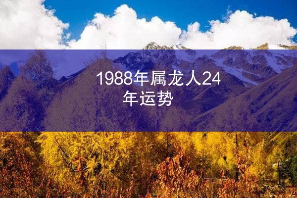 1988年属龙人24年运势