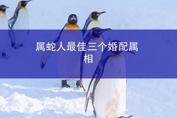 属蛇人最佳三个婚配属相