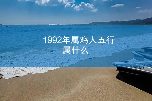 1992年属鸡人五行属什么