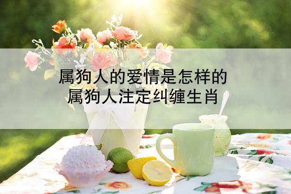 属狗人的爱情是怎样的 属狗人注定纠缠生肖